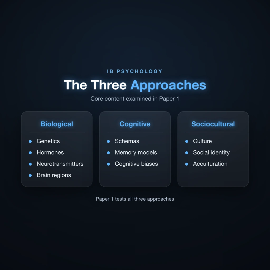 IB Psychology three approaches diagram: biological, cognitive, and sociocultural columns with key concepts